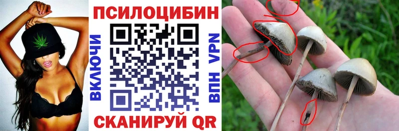 Галлюциногенные грибы Psilocybine cubensis купить наркотик Сосновка